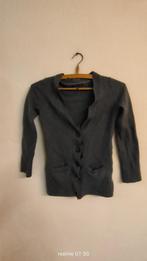 Cardigan Massimo Dutti, Kleding | Dames, Truien en Vesten, Ophalen of Verzenden, Zo goed als nieuw, Maat 36 (S), Grijs