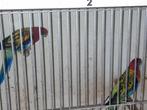Prachtrosselas, Dieren en Toebehoren, Vogels | Parkieten en Papegaaien, Meerdere dieren, Parkiet