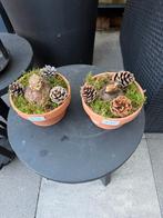 Pot met bloembol, Tuin en Terras, Bloembakken en Plantenbakken, Ophalen, Nieuw, Kunststof, Minder dan 30 cm