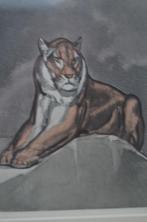 Litho Paul Jouve (1878 - 1973), Ophalen of Verzenden