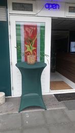 Restaurant ter overname / pachter gezocht