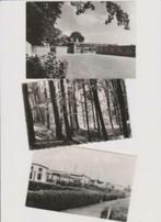 ansichtkaarten Raalte, Berg en Dal, Schiedam, Putten, Ophalen of Verzenden