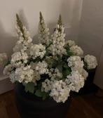 Kunstbloemen - 16 kleine & 3 grote, Ophalen of Verzenden, Binnen