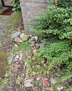 Veldkeien voor tuin of decoratie GRATIS, Tuin en Terras, Grind, Keien en Split, Ophalen, Overige materialen, Gebruikt, Kei