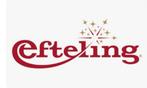 Efteling tickets, Tickets en Kaartjes, Twee personen, Ticket of Toegangskaart
