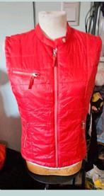 WE rood bodywarmer, Ophalen of Verzenden, Zo goed als nieuw, Maat 38/40 (M), Rood