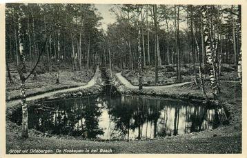 (388-348-011) Driebergen-Rijsenburg De Koekepan in het Bosch beschikbaar voor biedingen