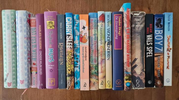 Astrid Lindgren - Samen op het eiland Zeekraai, Boeken, Kinderboeken | Jeugd | onder 10 jaar, Zo goed als nieuw, Ophalen of Verzenden