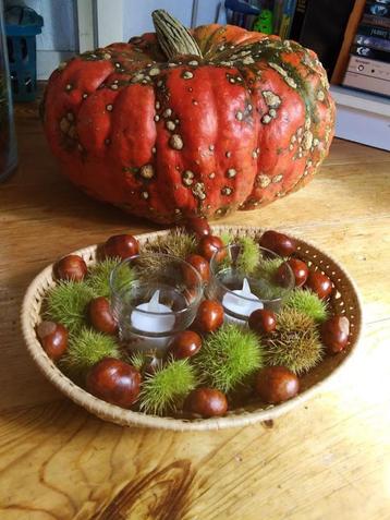 Herfst mandje met lichtjes. GRATIS kaarsen! beschikbaar voor biedingen