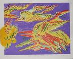 Peter Diem - "Bird Symphony Handbewerkt", Antiek en Kunst, Kunst | Litho's en Zeefdrukken, Ophalen of Verzenden