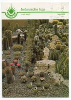 Tegelen Botanische tuin van Steyl 1973, Verzamelen, Ansichtkaarten | Nederland, Ophalen, 1960 tot 1980, Gelopen, Limburg