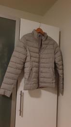 jas van Cotton Club, Ophalen of Verzenden, Zo goed als nieuw, Grijs, Maat 34 (XS) of kleiner