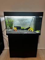 Juwel RIO 125 LED Aquarium, Ophalen, Zo goed als nieuw, Leeg aquarium