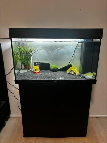 Juwel RIO 125 LED Aquarium beschikbaar voor biedingen