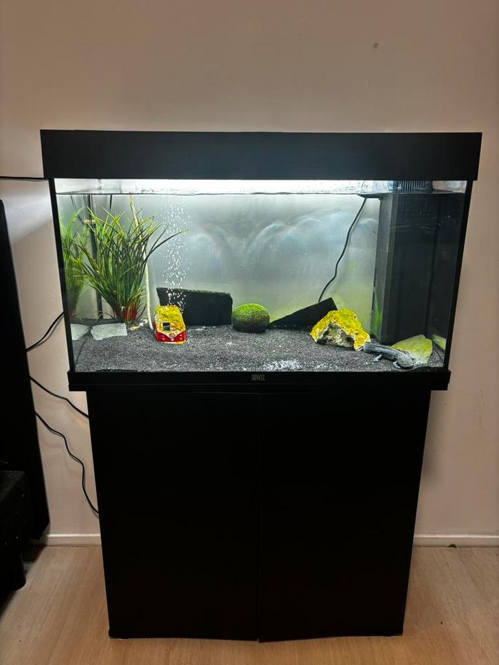 Juwel RIO 125 LED Aquarium, Dieren en Toebehoren, Vissen | Aquaria en Toebehoren, Zo goed als nieuw, Leeg aquarium, Ophalen