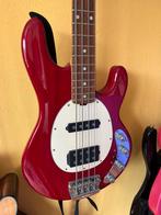 MusicMan Stingray Ernie Ball., Ophalen, Gebruikt