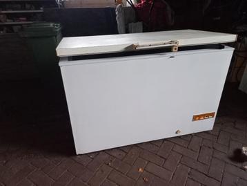 Nette grote Diepvrieskist diepvries  beschikbaar voor biedingen