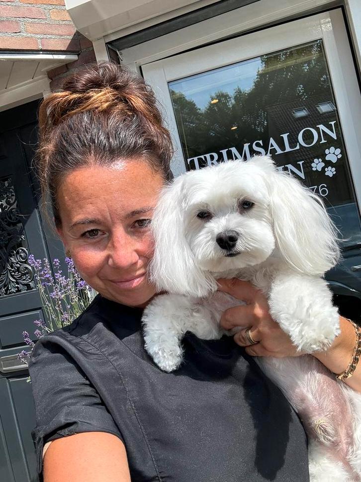 Trimsalon voor honden in Tilburg, Diensten en Vakmensen, Dieren | Honden | Verzorging, Oppas en Les, Trimmen of Verzorging
