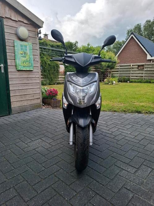 nipponia e-rex, Fietsen en Brommers, Scooters | Overige merken, Zo goed als nieuw, Maximaal 45 km/u, Elektrisch, Ophalen