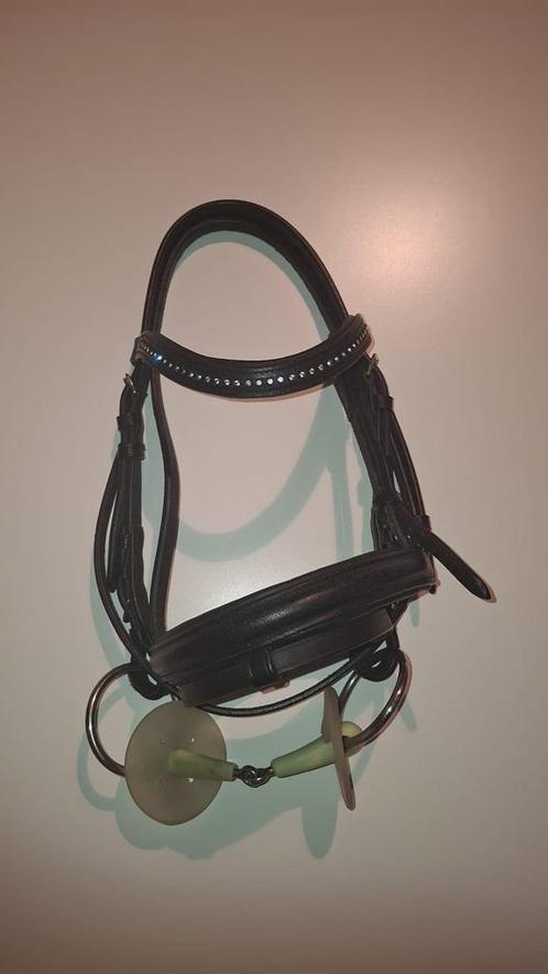Hoofdstel (mini)shetlander, Dieren en Toebehoren, Paarden en Pony's | Hoofdstellen en Tuigage, Nieuw, Dressuur, Ophalen of Verzenden