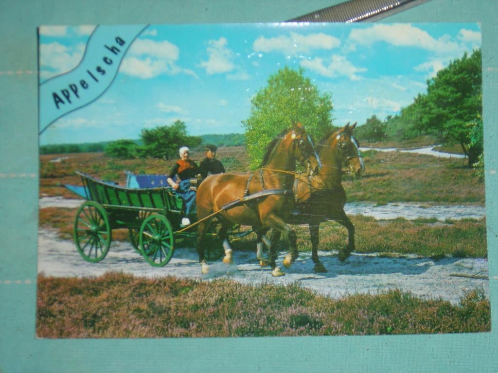 8) Kleuren Ansichtkaart Appelscha, Verzenden, 1980 tot heden, Gelopen, Friesland