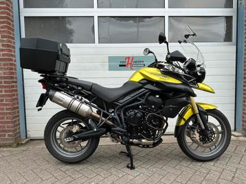 Triumph TIGER 800 ABS (bj 2012) beschikbaar voor biedingen