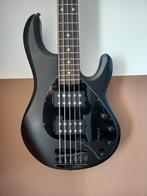 Sterling by MUSICMAN, 5-snarig, Muziek en Instrumenten, Snaarinstrumenten | Gitaren | Bas, Ophalen of Verzenden, Zo goed als nieuw