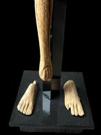 Oude Egypte, 18de dynastie. Houten voeten en arm., Antiek en Kunst, Ophalen of Verzenden
