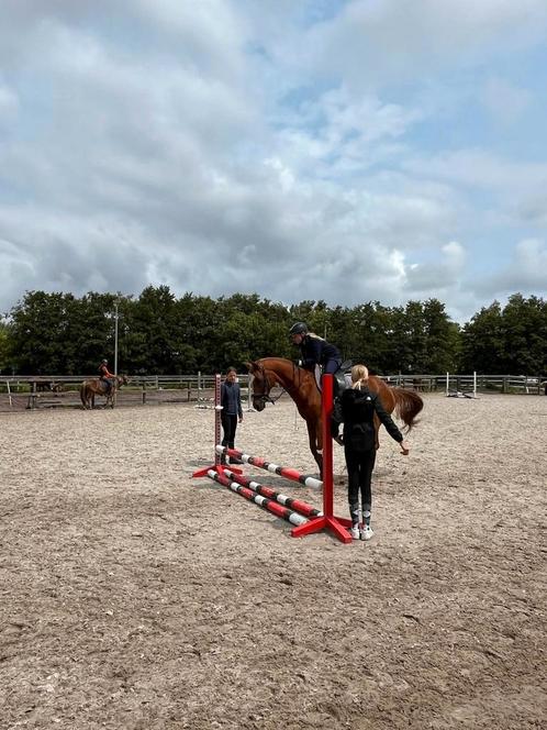 Verzorger/bijrijder  aangeboden verzorg pony/paard gezocht, Hobby en Vrije tijd, Overige Hobby en Vrije tijd, Ophalen of Verzenden