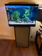 Superfish aquarium met Tetra meubel 70 Liter, Dieren en Toebehoren, Vissen | Aquaria en Toebehoren, Ophalen, Zo goed als nieuw