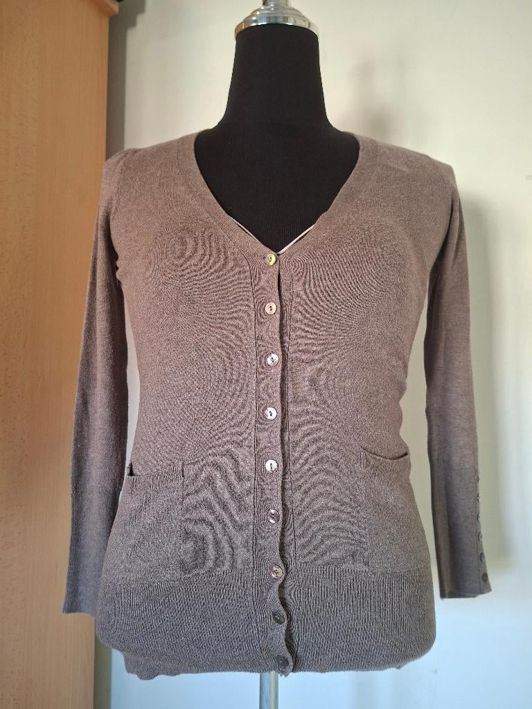 Zara taupe vest met knoopjes maat M, Kleding | Dames, Truien en Vesten, Gedragen, Maat 38/40 (M), Bruin, Ophalen of Verzenden