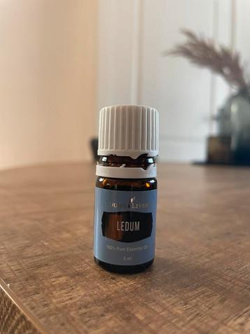 Young Living Ledum 5 ml beschikbaar voor biedingen