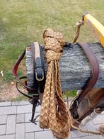 Pony tuig, Dieren en Toebehoren, Ophalen of Verzenden, Overige soorten