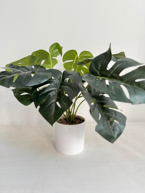 Superleuk kunstplantje 45 cm! €3, Huis en Inrichting, Woonaccessoires | Kunstplanten en Kunstbloemen, Ophalen