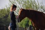 Instructrice grondwerk/rijden, Diensten en Vakmensen, Dieren | Paarden | Verzorging, Oppas en Les