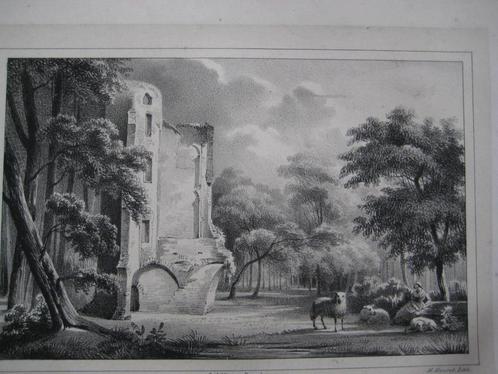 14 Haaften Ruïne van het Huis Litho 1846, Antiek en Kunst, Kunst | Litho's en Zeefdrukken, Ophalen of Verzenden