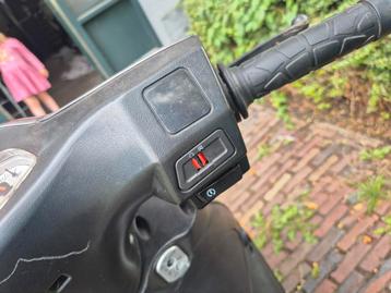 La souris  city beschikbaar voor biedingen
