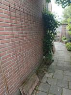 stalen gaasmat/ gaaspaneel, Tuin en Terras, Ophalen, Gebruikt, Minder dan 10 meter
