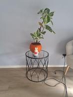 Nijntje lamp uit 2010, Ophalen of Verzenden, Gebruikt, Lamp