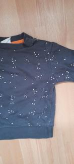 Babytruitje, mt 56, Truitje of Vestje, Ophalen of Verzenden, Zo goed als nieuw, Hema