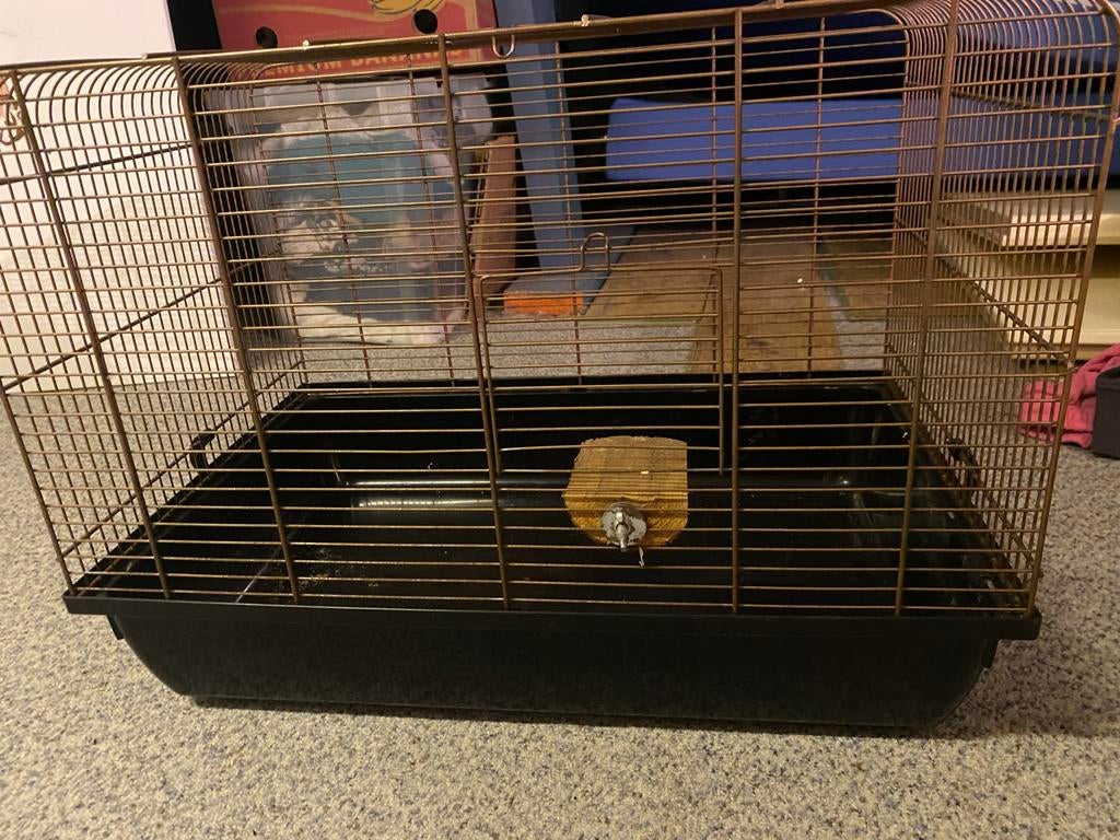 Hamster hok, Ophalen, Hok, Hamster, Minder dan 60 cm