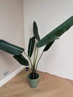 Kunstplant met Pot - Mooie Decoratie, Ophalen, Overige soorten, Halfschaduw, In pot