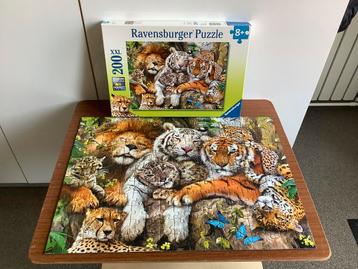Puzzel dutje doen dieren leeuw witte tijger cheetah 200XXL beschikbaar voor biedingen