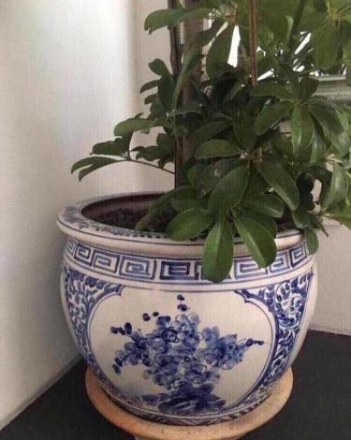 Grote oude unieke XL geglazuurde wit blauw bloempot 43cm, Tuin en Terras, Bloempotten, Zo goed als nieuw, Terracotta, Binnen, Minder dan 40 cm