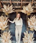 Pampas Staanders - 20% korting bij 2 of meer, Ophalen, Nieuw, Overige