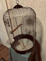 Vogelkooi incl toebehoren, Dieren en Toebehoren, Vogels | Hokken en Kooien, Ophalen, Gebruikt, Metaal, Vogelkooi