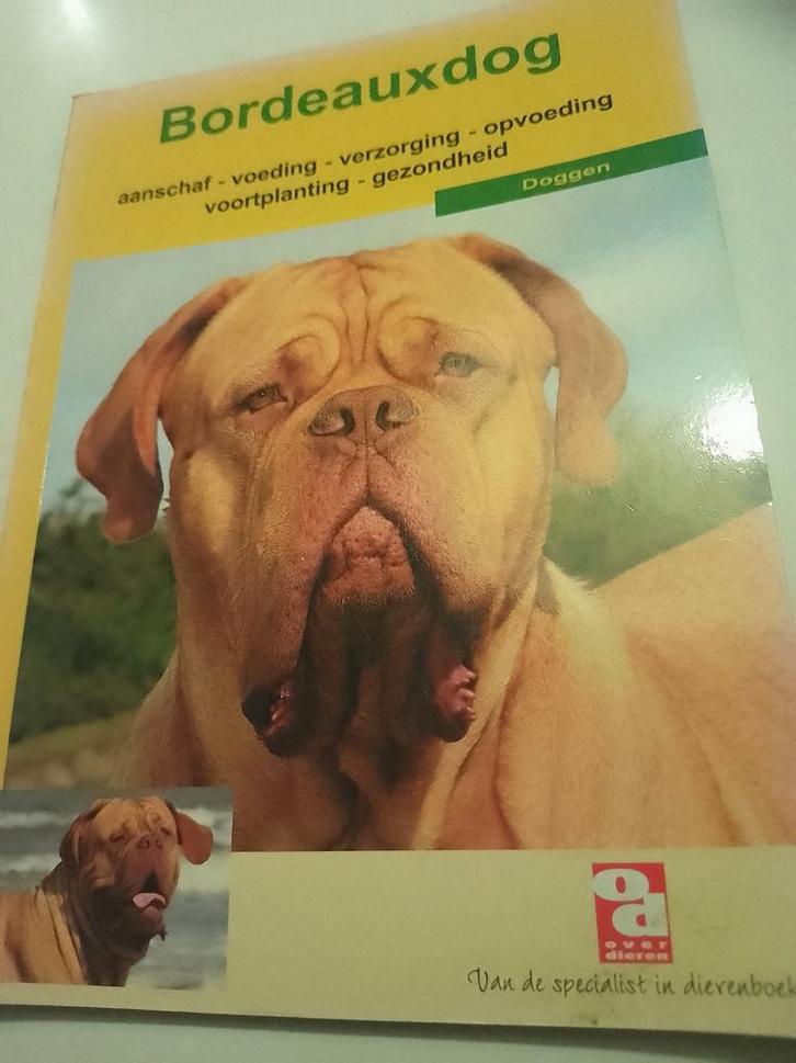 Bordeauxdog, Boeken, Dieren en Huisdieren, Zo goed als nieuw, Honden, Ophalen of Verzenden