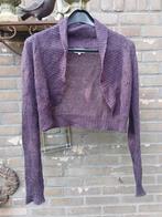 Ajour gebreide bolero, Kleding | Dames, Truien en Vesten, Ophalen of Verzenden, Gedragen
