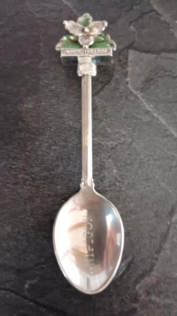 Nipigon Lepeltje - Souvenir Lepel, Antiek en Kunst, Antiek | Bestek, Ophalen of Verzenden