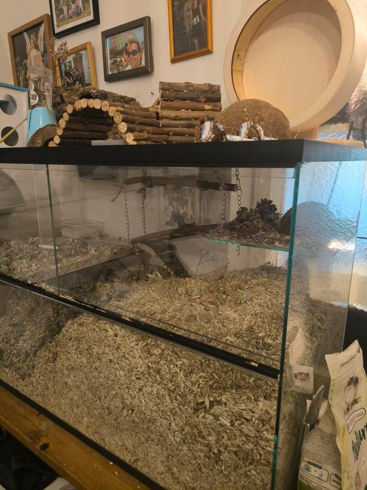 Hamster/gerbil kooi inclusief accessoires  80x40x50, Dieren en Toebehoren, Reptielen en Amfibieën | Toebehoren, Zo goed als nieuw
